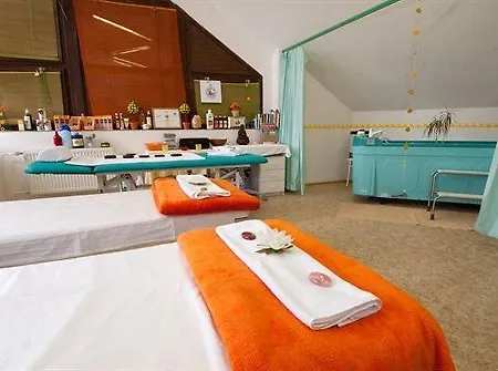 Bohemia 3* Франтишкови-Лазне