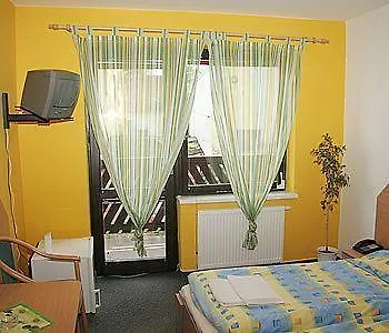 波希米亚酒店 3* Františkovy Lázně