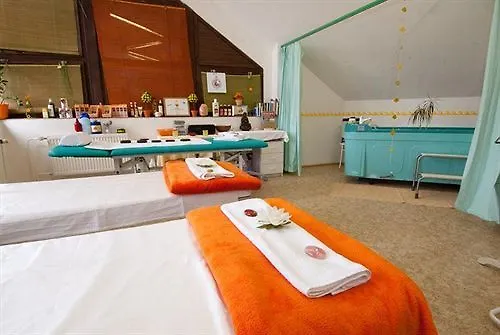 Bohemia 3* Františkovy Lázně